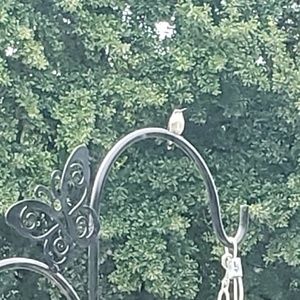 Meet your Posher, Karin